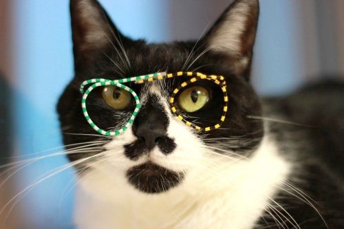 帯広日帰りツアー