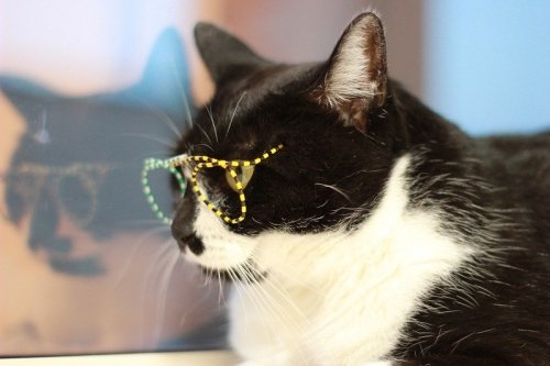 帯広日帰りツアー続き