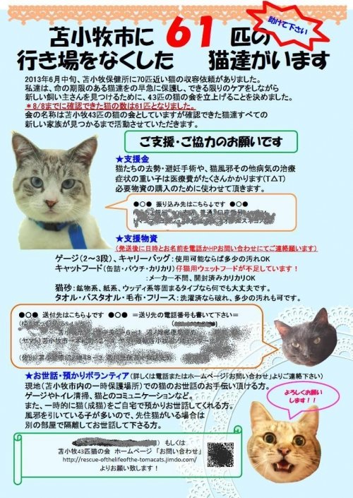 ポスター製作ちう