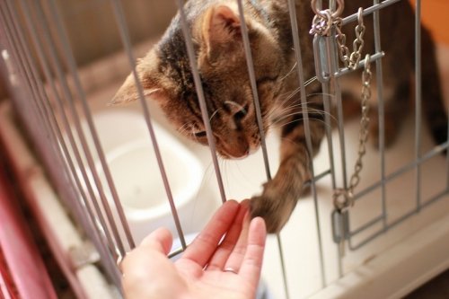 またまたシェルターへ