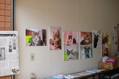 ふぅさん作ステキパネル