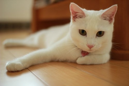 早朝のニュースでした～