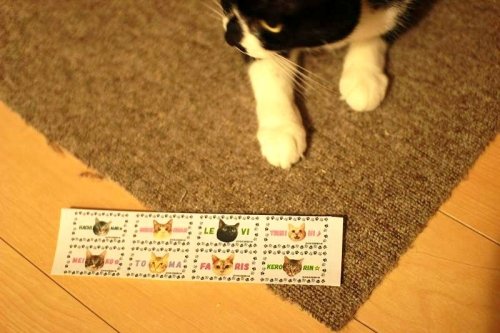 売っれるっかな♪はてさてほほー