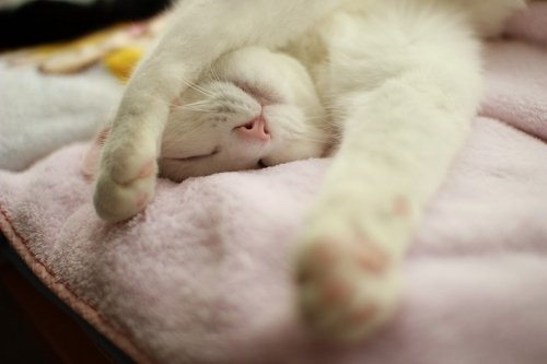 ピッチャーか！いえ、事務員です。