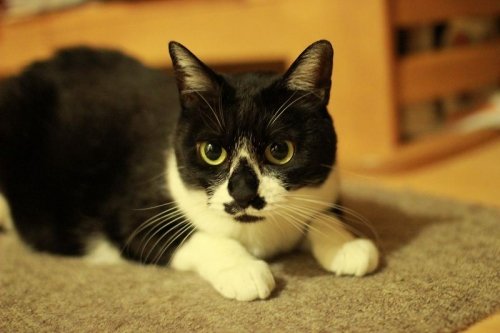 またまた頂きました～