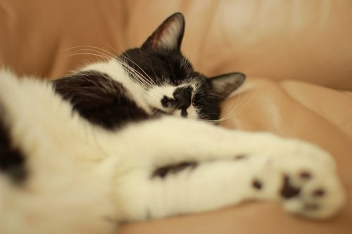 急・性・腰・痛