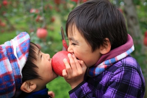 子どものシャッターチャンスを逃さない！