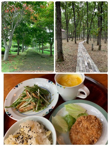 中札内美術村