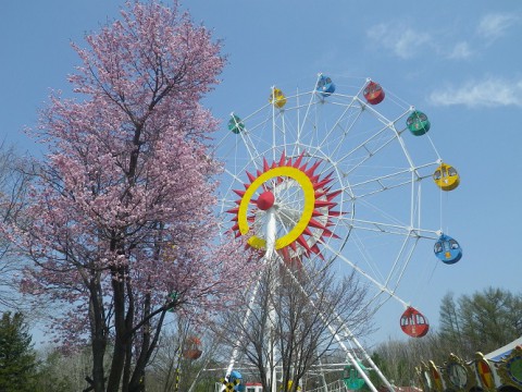 　おびひろ動物園　夏期開園はじめました!!