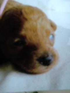 目が開きました(^O^)