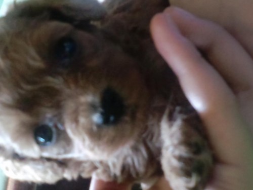 成長してますっ＼(^ー^)／