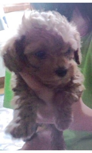 あともう少し(^O^)