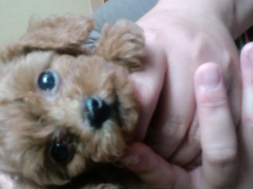 じっとして～(>_<)