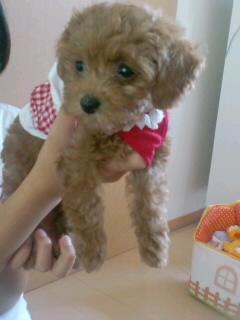 さっそく(ρ°∩°)