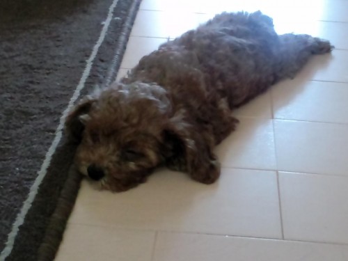 足が～(￣∀￣)