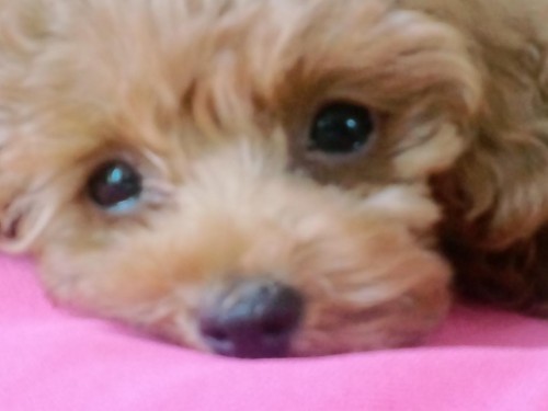 至福のひととき♪