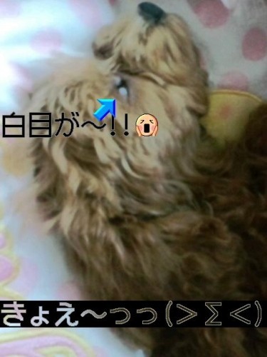 心臓弱い方 お断り