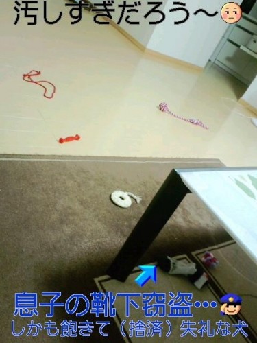 お～い麦さ～ん