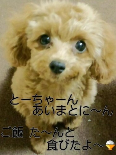 あいまとに～ん