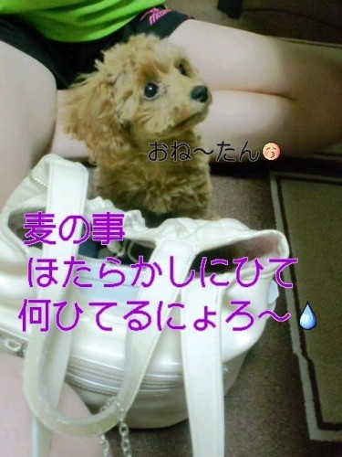 絵に負けたにん