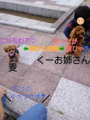 く～おね～たん