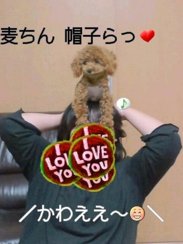 麦ハット＆パステル