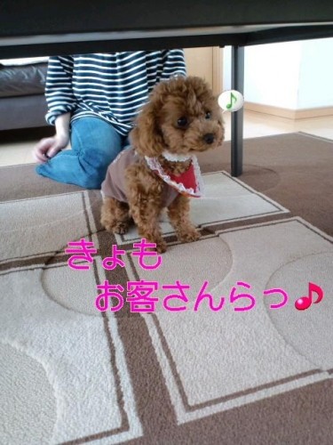 お客様は神様ら～