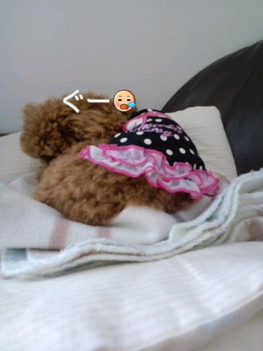 ふせっ できまつたの