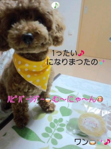 はぴばーしでー