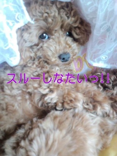 やる気ＺＥ～ＲＯ～