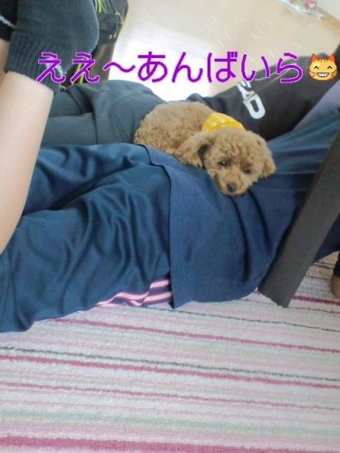 図々しくない？