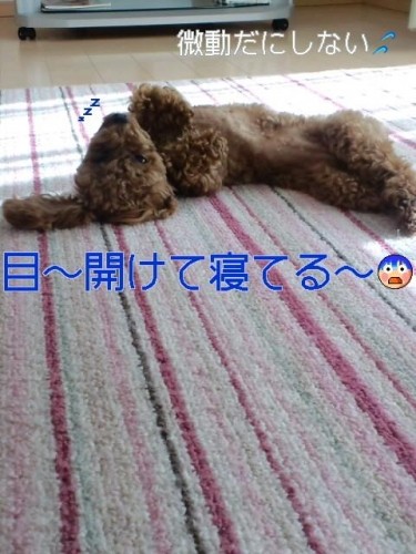 生きてますか～