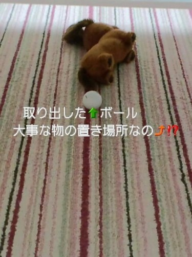 取てくだた～い