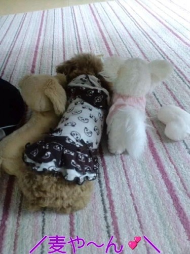 ハッピーバーシデー