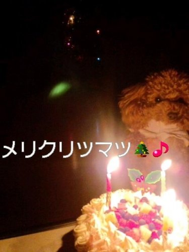 メリークリスマ～ス