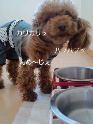 本能のおもむくままに