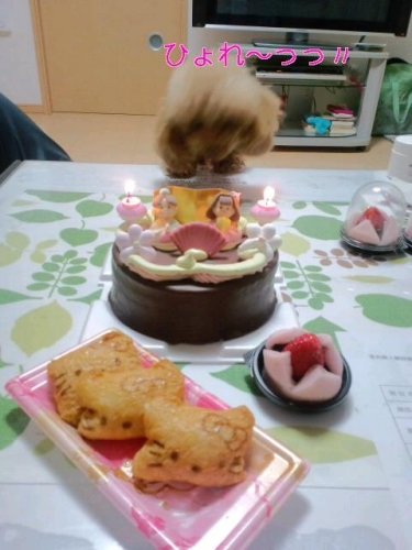 おひなたま＆ボーイフレンド