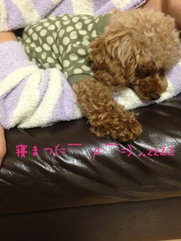 おやすみなさい。