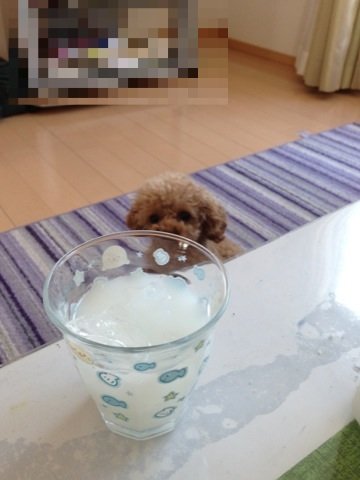 ほんとに家族？