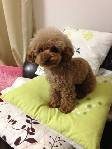 ありがとう~(T . T)