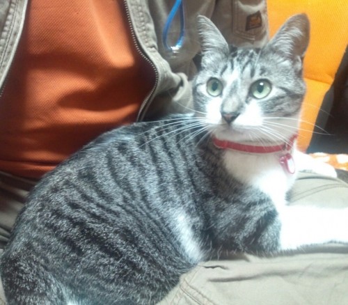 のんとあび。
