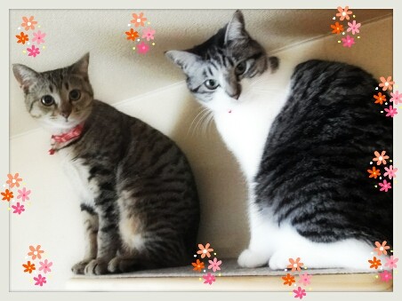 今日は何の日♪