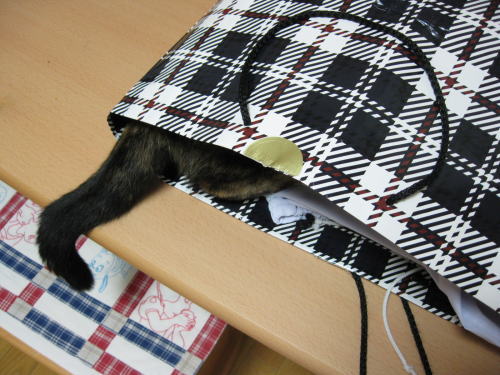 誰のしっぽ？