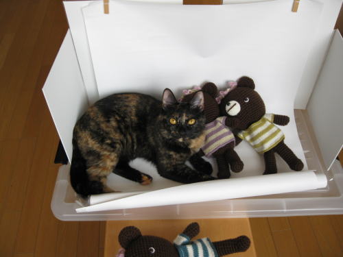 おじゃまむし