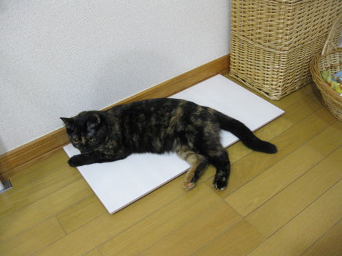 ひんやりタイル