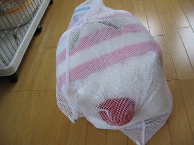 みつばが来ました