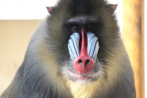 おびひろ動物園