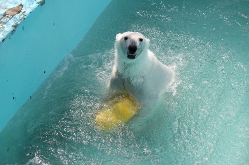 おびひろ動物園
