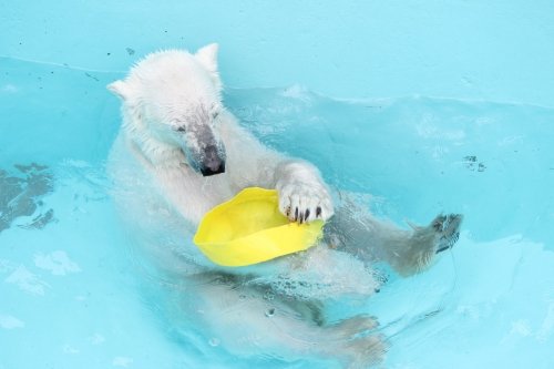 おびひろ動物園へ