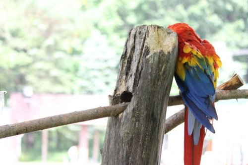 おびひろ動物園6